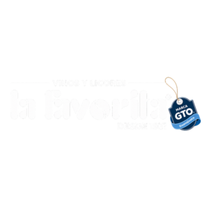 Vino 11