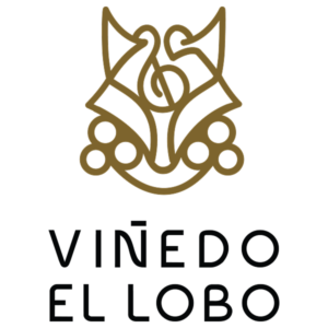 Vino 17