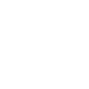 Vino 6