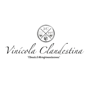 Vino 26 Vino 26